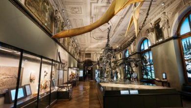 Photo of Virtuelni obilazak kulturnih znamenitosti Beča
