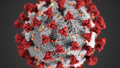 Photo of Slovenski lingvisti rade na ‘koronarječniku’