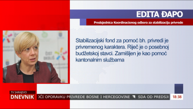 Photo of Stabilizacijski fond za pomoć bh. privredi
