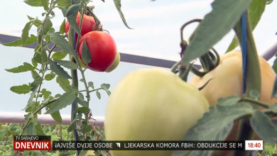 Photo of U vrijeme pandemije sigurno će doći do povećanja domaće proizvodnje