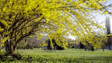 Photo of U Sarajevu sunčano