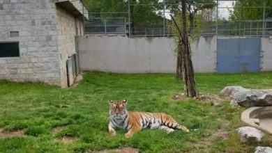 Photo of Pionirska dolina spremna za zimu