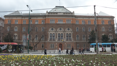 Photo of Predsjedništvo BiH uputilo telegram saučešća porodici ubijenog Jasmina Berovića