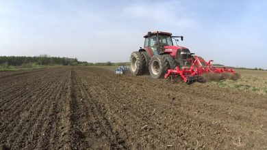Photo of Podršku proljetnoj sjetvi dobit će blizu 19 hiljada poljoprivrednika