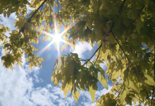 Photo of Danas sunčano uz malu do umjerenu oblačnost, najviša dnevna temperatura zraka od 15 do 22 stepena
