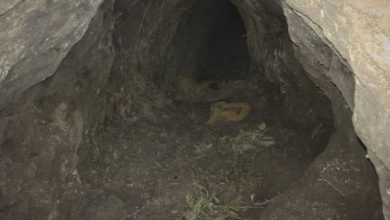 Photo of Na mađarsko-srpskoj granici otkriveni tuneli za ilegalni ulazak migranata