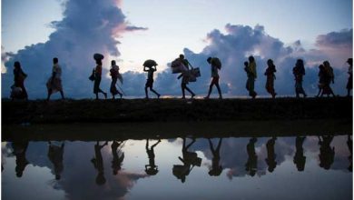 Photo of U akciji “Sutjeska“ lišene slobode bh. državljanke zbog krijumčarenja migranata