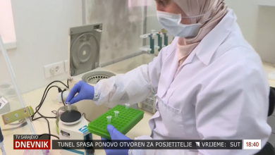 Photo of BiH ima potencijala za proizvodnju i plasman zdrave hrane