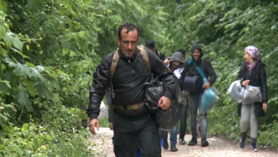 Photo of Sedam ilegalnih migranata pronađeno na carinskom terminalu u Halilovićima