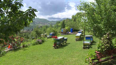 Photo of Darovi prirode i ove nedjelje donose pozitivne priče iz KS