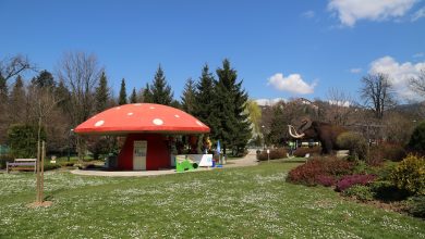 Photo of Nakon više od 30 godina bilo bi trajno riješeno dosadašnje imp­rovizirano u Zoo vrtu Pionirska dolina