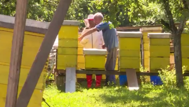 Photo of Darovi prirode nedjelja 12, 05 #TVSA