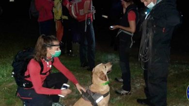 Photo of Pas Šmeki pronašao nestalu žensku osobu iz Hadžića