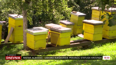 Photo of Društvo pčelara KS ovog mjeseca educira početnike