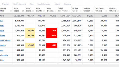 Photo of U svijetu koronavirusom zaraženo više od 31 milion ljudi