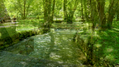 Photo of Obilježavanje Svjetskog dana voda na Vrelu Bosne