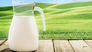 Photo of Izvoz mlijeka i mliječnih proizvoda manji za 10,8 posto za prvih šest mjeseci