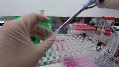 Photo of Izrael tvrdi da je pronašao lijek protiv Covid-19