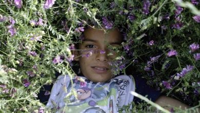 Photo of Dan ljudskih prava uz film ‘Acasă, moj dom/Acasă’