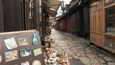Photo of TVSA/Video: Ekonomske posljedice izazvane pandemijom koronavirusa najviše trpi sektor privrede