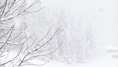 Photo of Na Bjelašnici minus 5, poslijepodne razvedravanje