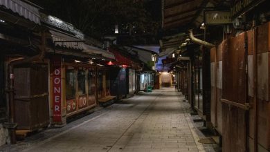 Photo of Delić: Obeštećenje privrednika ako se lockdown produži