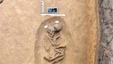 Photo of Egipatski arheolozi pronašli grobnice stare pet hiljada godina