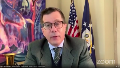 Photo of “BHdiaFor”: Saradnja sa dijasporom pomoći će da 2021. bude godina oporavka (TVSA/Video)