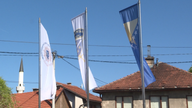 Photo of TVSA/Video:  U Sarajevu obilježen Dan zlatnih ljiljana