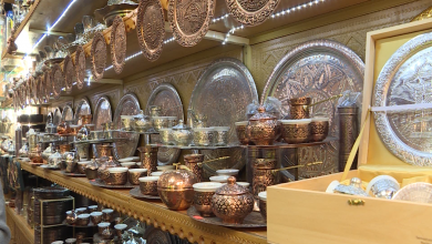 Photo of TVSA/Video: Pripremljen prijedlog Zakona o poticanju razvoja male privrede