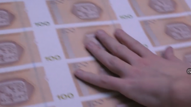 Photo of TVSA/VIDEO/ Konvertibilna marka stabilna bez obzira na burna dešavanja u ekonomskom svijetu