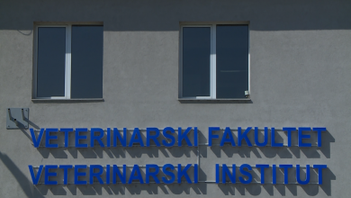 Photo of Pojava zaraze Q groznicom među studentima Veterinarskog fakulteta u Sarajevu