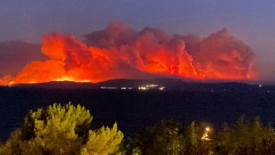 Photo of U požarima izgorjelo više od 1,3 miliona duluma šume u Grčkoj