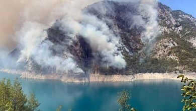 Photo of Kiša u Jablanici olakšala borbu s požarima