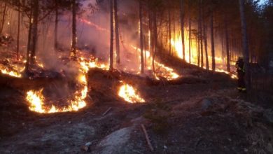 Photo of Vatra ugrozila kuće u Donjoj Jablanici