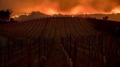 Photo of Požar Dixie postao drugi najveći u historiji Kalifornije
