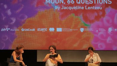 Photo of Takmičarski program SFF-a: Prikazan film “Mjesec, 66 pitanja”