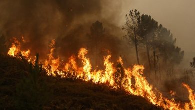 Photo of Za gašenje požara u Jablanici zatražena međunarodna pomoć