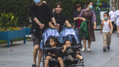 Photo of Kineska politika troje djece ozakonjena