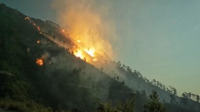 Photo of Gori u Mostaru, Jablanici, Konjicu, Stocu