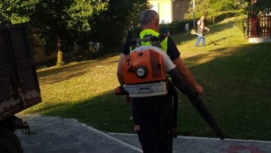 Photo of Preduzeće Park angažuje 100 osoba za održavanje javnih zelenih površina