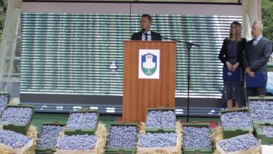 Photo of Otvoren Gradačački sajam – znak oporavka privrede u BiH