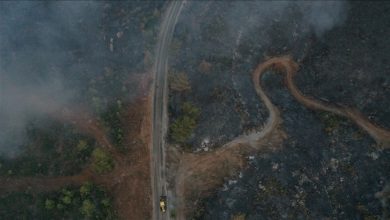 Photo of Pod kontrolom 122 od ukupno 129 šumskih požara u Turskoj