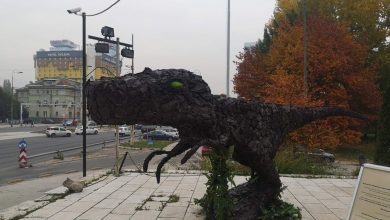 Photo of Neka izumiranje ne bude naš izbor – u okviru globalne kampanje Sarajevo dobilo dinosaurusa