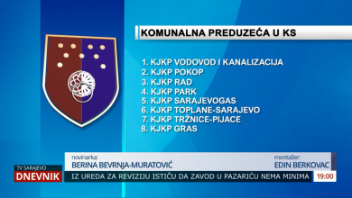 Photo of Tema Dnevnika TVSA: Prednosti spajanja javnih preduzeća u Holding (VIDEO)