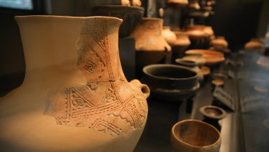 Photo of 134. godine Zemaljskog muzeja BiH