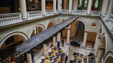 Photo of Zemaljski muzej BiH postavio stalnu izložbu “Bosna i Hercegovina u prethistorijsko doba”