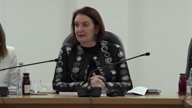 Photo of Gordana Tadić doživjela sličnu sudbinu kao Jurčević, Barašin i Salihović (Video)
