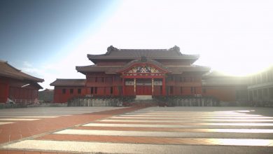 Photo of Uskoro na TVSA: Dokumentarni serijal o mjestima svjetske baštine u Japanu