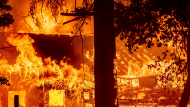 Photo of Bugarska: 9 osoba poginulo u požaru u staračkom domu